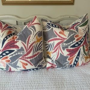 Anthropologie Euro Pillow covers (2)